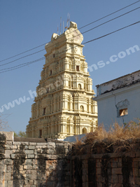 Jamla Devi Temple and portion of Fort